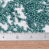 MIYUKI Delica Beads SEED-JP0008-DB1769-4