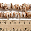 Natural Seashell Shell Beads Strands SSHEL-H072-06-4