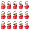 ABS Plastic Charms KY-YW0001-24C-1