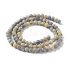 Natural Yellow Turquoise(Jasper) Beads Strands G-H245-02A-2