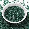 8/0 Glass Seed Beads SEED-A005-3mm-50A-2