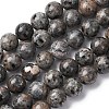 Natural Fluorescent Syenite Rock(Glow under UV Light) Beads Strands G-G789-02E-2