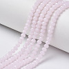 Glass Beads Strands X-EGLA-A034-J10mm-D02-1