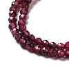 Natural Garnet Beads Strands G-I341-09A-4
