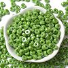 Opaque Colours Luster Glass Seed Beads SEED-E001-P3x6mm-A11-2
