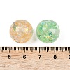 Transparent Resin Beads RESI-C070-06B-3