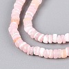 Natural Trochid Shell/Trochus Shell Beads Strands SSHEL-N040-21F-3
