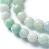 Natural Jadeite Beads Strands G-L568-001B-3