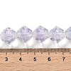 Handmade Lampwork Beads Strands LAMP-Q036-03C-4