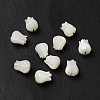 Natural Trochid Shell/Trochus Shell Beads BSHE-E026-03-1