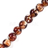 Synthetic Amber Beads Strands G-M199-A01-03-1