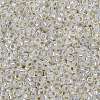 MIYUKI Round Rocailles Beads X-SEED-G009-RR0551-3