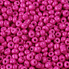 Baking Paint Glass Seed Beads SEED-S003-K24-2