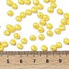 6/0 Glass Seed Beads X1-SEED-L011-08A-17-4
