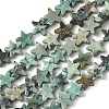 Natural African Turquoise(Jasper) Beads Strands G-F817-A14-01-3