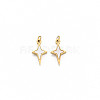 Ion Plating(IP) 304 Stainless Steel Charms X-STAS-N097-189-1