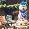 Polyester and Polycotton Pet Hat & Collar & Bib Birthday Party set AJEW-WH20010-97-5