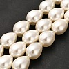 Electroplate Shell Pearl Beads Strands BSHE-G010-14x18mm-01-2