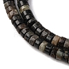 Natural Biotite Beads Strands G-L624-I12-3x6mm-4