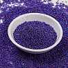 MIYUKI Round Rocailles Beads SEED-G009-RR1020-2