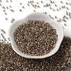 Glass Seed Beads SEED-S042-13A-16-2