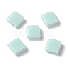 Opaque Acrylic Slide Charms OACR-Z010-01L-1