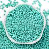 8/0 Baking Paint Glass Seed Beads X1-SEED-M012-02A-41-2