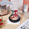 1Pc Arch Glass Dome Cover AJEW-UN0002-84A-4