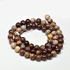 Natural Petrified Wood Round Bead Strands G-F266-08-4mm-2
