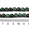 Natural Imperial Jasper Beads Strands G-N342-63B-5