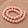 Polished Round Grade A Shell Pearl Bead Strands BSHE-M027-6mm-10-2