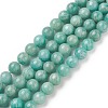 Natural Amazonite Beads Strands G-F461-12-10mm-01-1