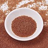 MIYUKI Delica Beads X-SEED-J020-DB0781-2