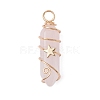 2Pcs 2 Styles Natural Amethyst/Green Aventurine/Rose Quartz/Lapis Lazuli/Quartz Crystal Double Terminated Pointed Pendants PALLOY-JF03122-4