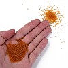 15/0 Transparent Czech Glass Seed Beads SEED-N004-004-01-5