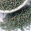 MIYUKI Round Rocailles Beads SEED-X0055-RR0351-4