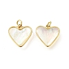 Natural White Shell & Epoxy Resin Charms KK-E794-02G-06-1