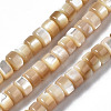 Natural Trochid Shell/Trochus Shell Beads Strands SSHEL-S266-016B-02-1