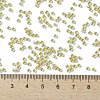 TOHO 11/0 Round Beads X-SEED-TR11-0295-4