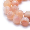 Natural Agate Beads Strands G-I245-40B-3