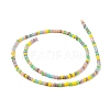 Faceted Glass Beads Strands X-GLAA-G074-A04-3