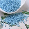 MIYUKI Delica Beads SEED-J020-DB0215-1
