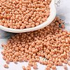 Baking Paint Glass Seed Beads SEED-K009-01B-13-4