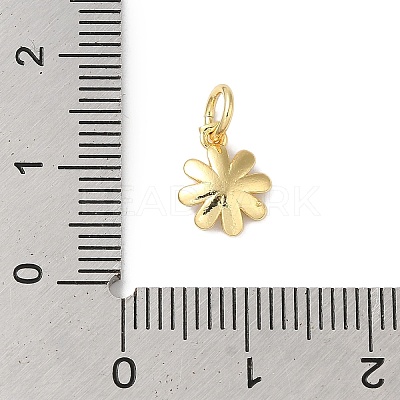 Brass Enamel Charms KK-L216-006G-05-1