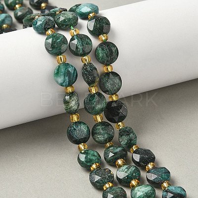 Natural Fuchsite Beads Strands G-G271-C03-10mm-1