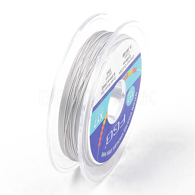 Tiger Tail Beading Wire TWIR-R007-0.4mm-02-1