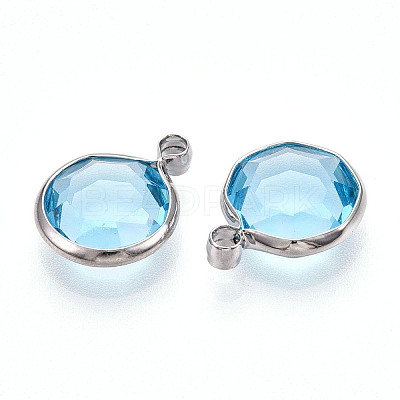 K9 Glass Charms GLAA-T023-37B-04-1