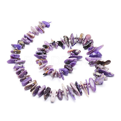 Natural Charoite Beads Strands G-E569-O03-1