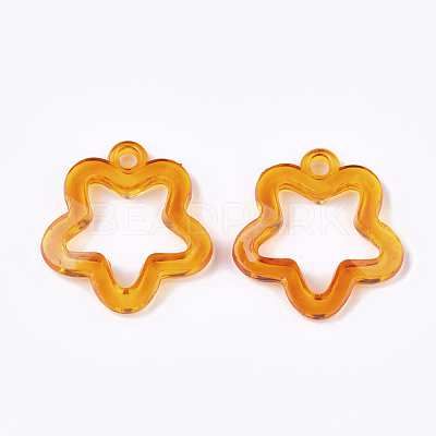 Transparent Acrylic Pendants TACR-S133-074-1