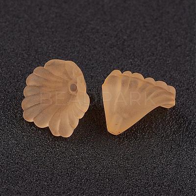 Transparent Acrylic Beads PL622-C06-1